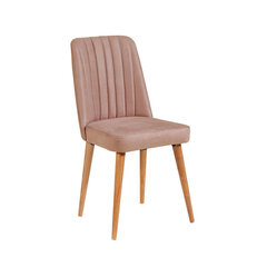 Työkalu Asir, 47x89x46cm, vaaleanpunainen hinta ja tiedot | Ruokapöydän tuolit | hobbyhall.fi