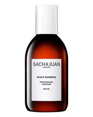 Shampoo Sachajuan Normal, 250 ml hinta ja tiedot | Sachajuan Hajuvedet ja kosmetiikka | hobbyhall.fi