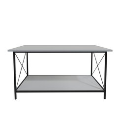 Kahvipöytä, Asir, 110x50x50 cm, valkoinen/musta hinta ja tiedot | Sohvapöydät | hobbyhall.fi