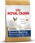 Royal Canin ranskanbulldogin pennuille, 10 kg hinta ja tiedot | Koiran kuivaruoka | hobbyhall.fi