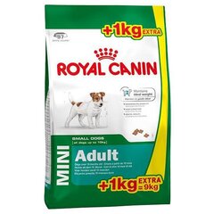 EDISTÄMINEN! Royal Canin Mini Adult 8kg + 1kg LAHJAT! hinta ja tiedot | Koiran kuivaruoka | hobbyhall.fi