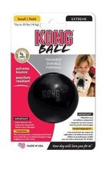 Kong lelu koirille Extreme Ball hinta ja tiedot | Koiran lelut | hobbyhall.fi