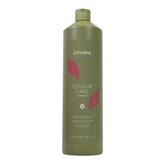 Echosline Colour Care Shampoo värjätyille hiuksille, 1000 ml hinta ja tiedot | EchosLine Hajuvedet ja kosmetiikka | hobbyhall.fi