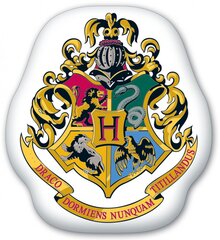 Koristetyyny Harry Potter 35*37 cm hinta ja tiedot | Koristetyynyt ja tyynynpäälliset | hobbyhall.fi