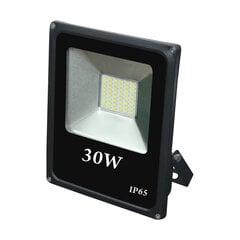 Volteno LED-kohdevalo 30W hinta ja tiedot | Taskulamput ja valonheittimet | hobbyhall.fi