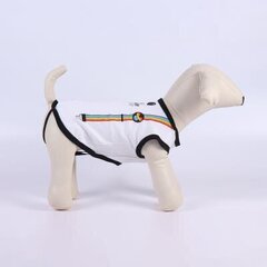 Megztinis šunims Disney Pride hinta ja tiedot | Koiran vaatteet | hobbyhall.fi