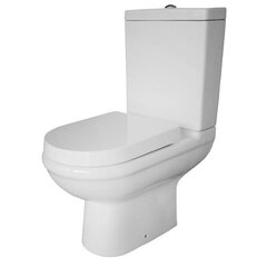 WC-istuin T11430 Rimless hinta ja tiedot | WC-istuimet | hobbyhall.fi
