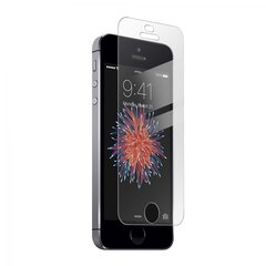 BS Tempered Glass Apple iPhone SE, 5, 5S hinta ja tiedot | Näytönsuojakalvot ja -lasit | hobbyhall.fi