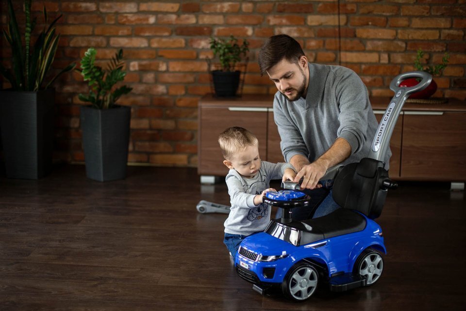 Leluauto kahvalla, vaaleanpunainen hinta ja tiedot | Vauvan lelut | hobbyhall.fi