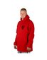 Huppari Hoodie Exquisite Line LT Red, punainen hinta ja tiedot | Miesten puserot ja hupparit | hobbyhall.fi