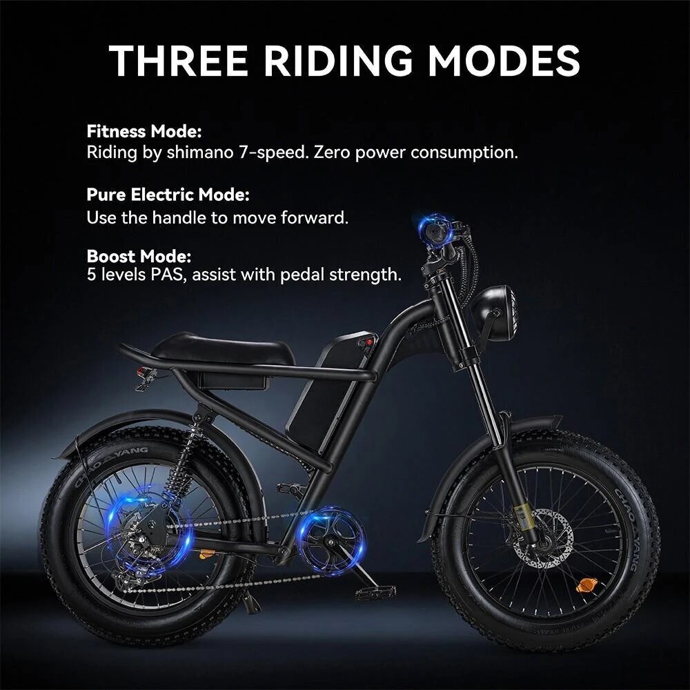 Sähköpyörä Riding'times Z8, 20", musta, 500W, 15Ah hinta ja tiedot | Sähköpyörät | hobbyhall.fi