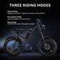 Sähköpyörä Riding'times Z8, 20", musta, 500W, 15Ah hinta ja tiedot | Sähköpyörät | hobbyhall.fi