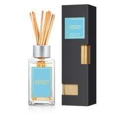 Kodin ilmanraikastin Areon Black Aquamarine, 85ml hinta ja tiedot | Areon Hajuvedet ja kosmetiikka | hobbyhall.fi