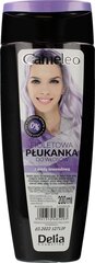 Hiustenhoitoneste Delia Cosmetics Cameleo, violetti, 200 ml hinta ja tiedot | Hiusvärit | hobbyhall.fi