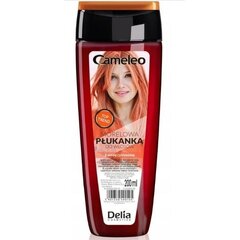 Delia Cameleo Apricot kiinteyttävä hiusneste 200ml hinta ja tiedot | Hoitoaineet | hobbyhall.fi