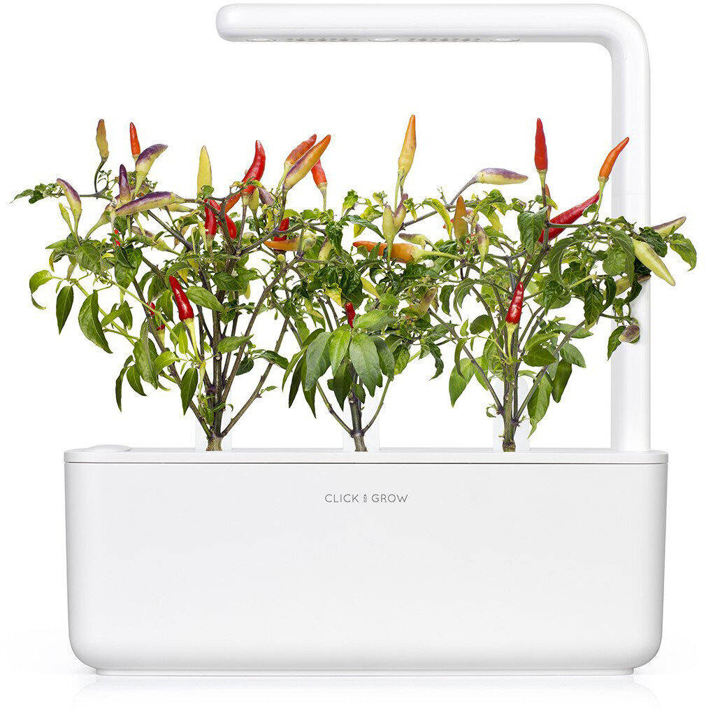 Click & Grow Smart Garden -täyte Punainen chilipippuri 3 kpl hinta ja tiedot | Yrttien siemenet | hobbyhall.fi