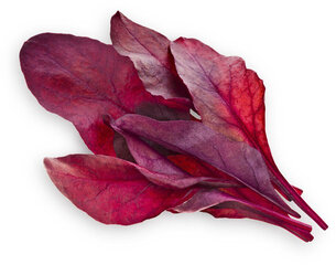 Click & Grow Smart Garden -täyttö Red Leaf Beet 3kpl hinta ja tiedot | Kasvisten siemenet | hobbyhall.fi