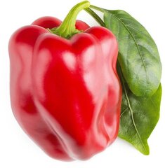 Click & Grow Smart Garden -täyttöpakkaus Red Sweet Pepper 3kpl hinta ja tiedot | Kasvisten siemenet | hobbyhall.fi