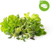 Click & Grow Plant Pod Steak Mix 9kpl hinta ja tiedot | Sisäpuutarhat ja kasvilamput | hobbyhall.fi