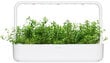 Click & Grow Smart Garden -täyttöpakkaus Mountain Savory 3kpl hinta ja tiedot | Yrttien siemenet | hobbyhall.fi