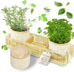 Käsintehdyt bamburuukut ja tarjotin sisäkasveille ECCK, 3kpl hinta ja tiedot | Kukkaruukut | hobbyhall.fi
