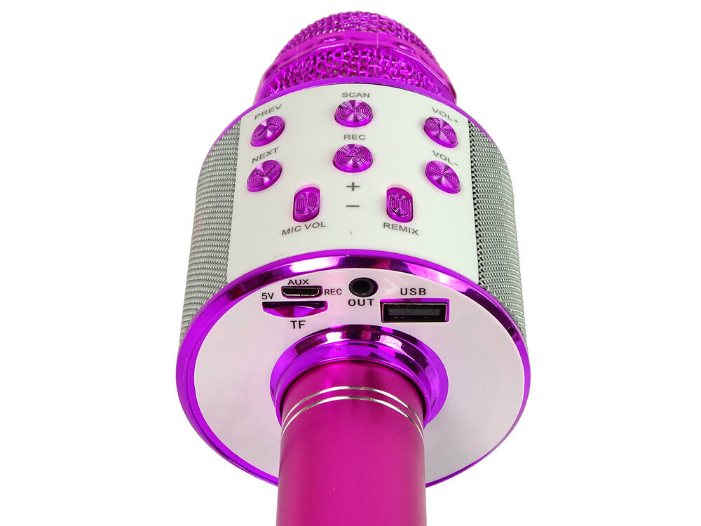 Langaton karaokemikrofoni kaiuttimilla ja tallennustoiminnolla WS-858, vaaleanpunainen hinta ja tiedot | Kehittävät lelut | hobbyhall.fi