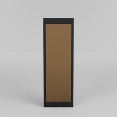 Peili, Asir, 34x105 cm, kulta/musta hinta ja tiedot | Peilit | hobbyhall.fi