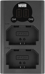Newell akkulaturi DL-USB-C Sony NP-FZ100 kaina ir informacija | Videokameran laturit | hobbyhall.fi