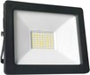 Omega LED valonheitin 50W 4200K (45695) hinta ja tiedot | Taskulamput ja valonheittimet | hobbyhall.fi