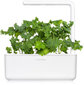 Click & Grow Smart Refill Green Kale 3kpl hinta ja tiedot | Kasvisten siemenet | hobbyhall.fi