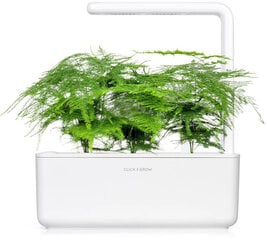 Click & Grow Smart Refill Feather spar 3kpl hinta ja tiedot | Kukkien siemenet | hobbyhall.fi