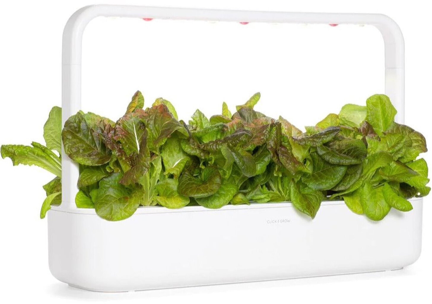 Click & Grow Smart Garden -täyttö Red Salaatti 3kpl hinta ja tiedot | Kasvisten siemenet | hobbyhall.fi