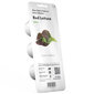 Click & Grow Smart Garden -täyttö Red Salaatti 3kpl hinta ja tiedot | Kasvisten siemenet | hobbyhall.fi