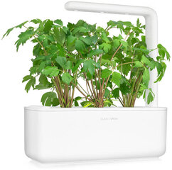 Click & Grow Smart Garden -täyttöpakkaus Lovage 3kpl hinta ja tiedot | Yrttien siemenet | hobbyhall.fi