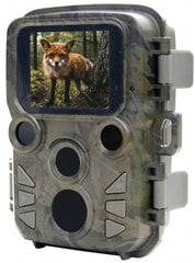 Braun Scouting Cam Black800 Mini hinta ja tiedot | Valvontakamerat | hobbyhall.fi