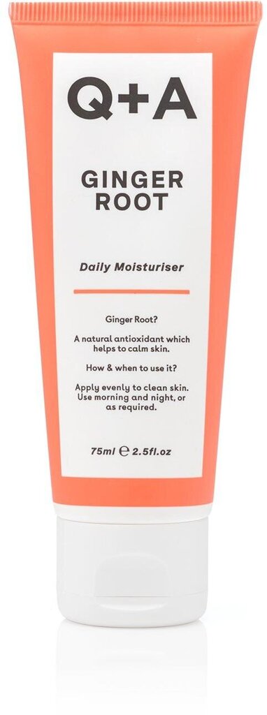 Kosteuttava inkiväärivoide (Daily Moisturizer) 75 ml hinta ja tiedot | Kasvovoiteet | hobbyhall.fi