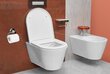 WC-paperiteline, Usar, hopea hinta ja tiedot | Kylpyhuoneen sisustus | hobbyhall.fi