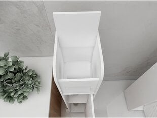 Seisova kylpyhuonekaappi IBIZA valkoinen hinta ja tiedot | Kylpyhuoneen sisustus | hobbyhall.fi