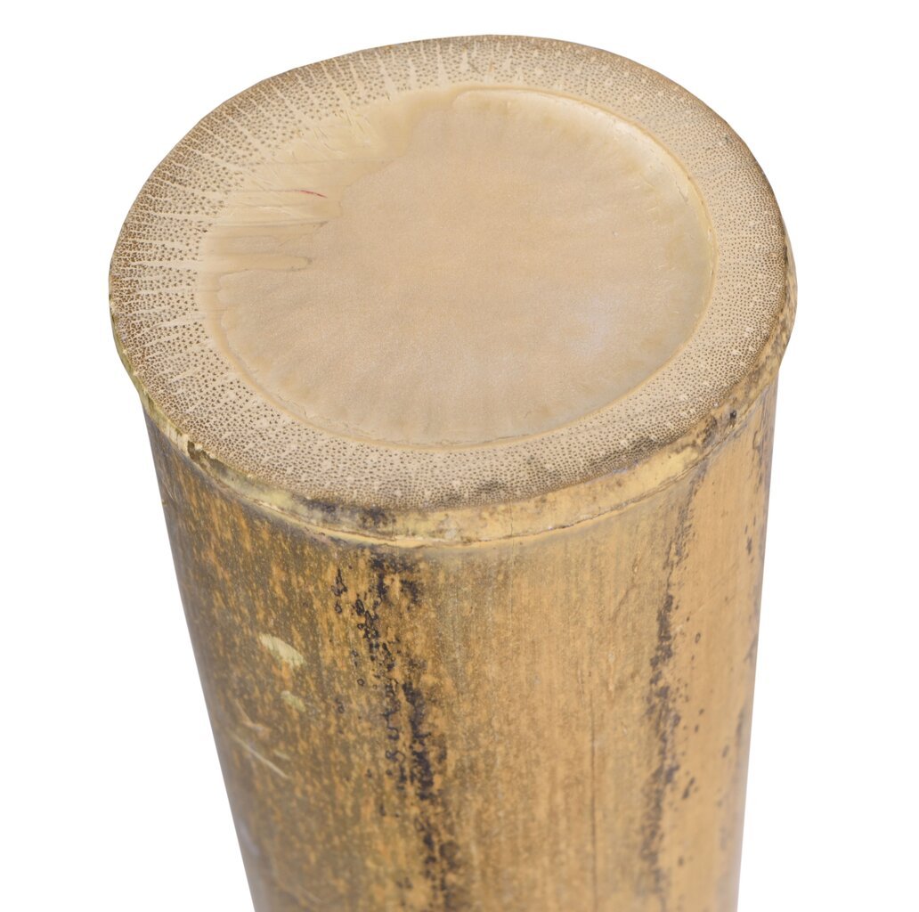 MOSO bambukeppi 100 cm 9-10 cm MOSO bambukeppi 100 cm 9-10 cm hinta ja tiedot | Puutarhakoristeet | hobbyhall.fi