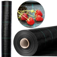 Agrotekstiili, 160 x 1000 cm, 70 g/m2, musta hinta ja tiedot | Puutarhatyökalut | hobbyhall.fi