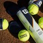 WILSON ROLAND GARROS -tennispallot, 4 kpl hinta ja tiedot | Tennisvälineet | hobbyhall.fi