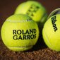 WILSON ROLAND GARROS -tennispallot, 4 kpl hinta ja tiedot | Tennisvälineet | hobbyhall.fi