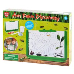 PLAY Ant Farm Discovery hinta ja tiedot | Lautapelit ja älypelit | hobbyhall.fi
