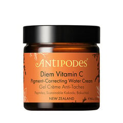 Kosteuttava voide epätasaisen ihon sävyn korjaamiseen Antipodes Diem Vitamin, 60 ml hinta ja tiedot | Kasvovoiteet | hobbyhall.fi