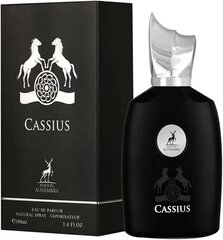 Tuoksu Alhambra Cassius EDP miehille, 100 ml hinta ja tiedot | Miesten hajuvedet | hobbyhall.fi