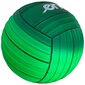 Enero lentopallo, vihreä hinta ja tiedot | Lentopallot | hobbyhall.fi