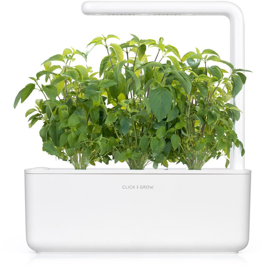 Click & Grow Smart Garden -täyttö Thai Basil 3kpl hinta ja tiedot | Yrttien siemenet | hobbyhall.fi