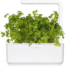 Click & Grow Smart Garden -täyttöaine Plain Persley 3 kpl hinta ja tiedot | Yrttien siemenet | hobbyhall.fi