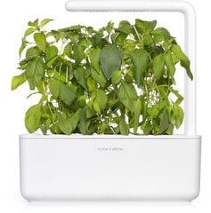 Click & Grow Smart Garden -täyttö Lime Basil 3 kpl hinta ja tiedot | Yrttien siemenet | hobbyhall.fi