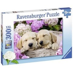 Ravensburger palapeli 300 kpl Kutsut korissa hinta ja tiedot | Palapelit | hobbyhall.fi